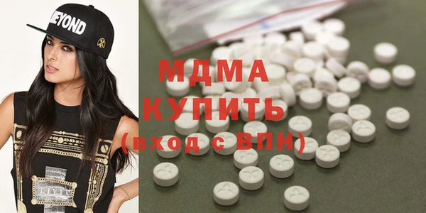 хмурый Аркадак