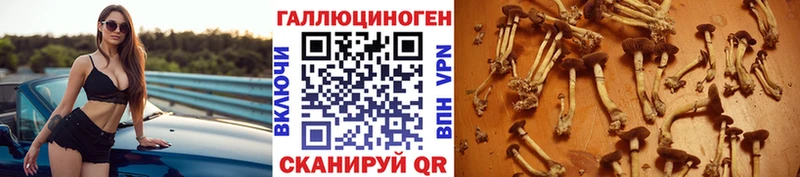 Псилоцибиновые грибы Magic Shrooms  Феодосия 